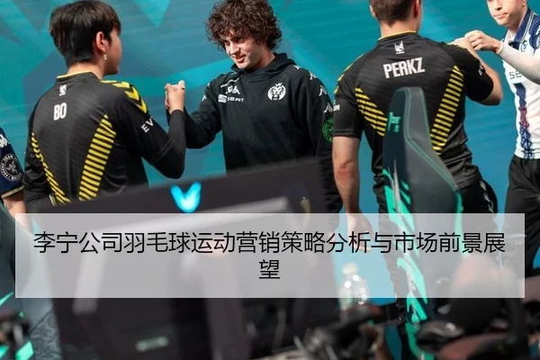 李宁公司羽毛球运动营销策略分析与市场前景展望