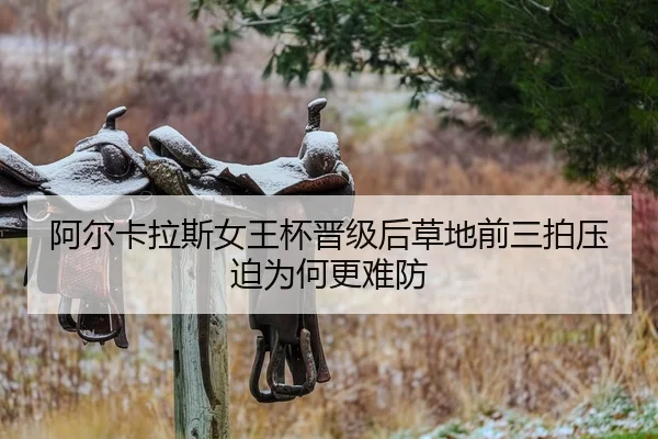 a-er-ka-la-si-nv-wang-bei-jin-ji-hou-cao-di-qian-san-pai-ya-po-wei-he-geng-nan-fang-2-994.jpg