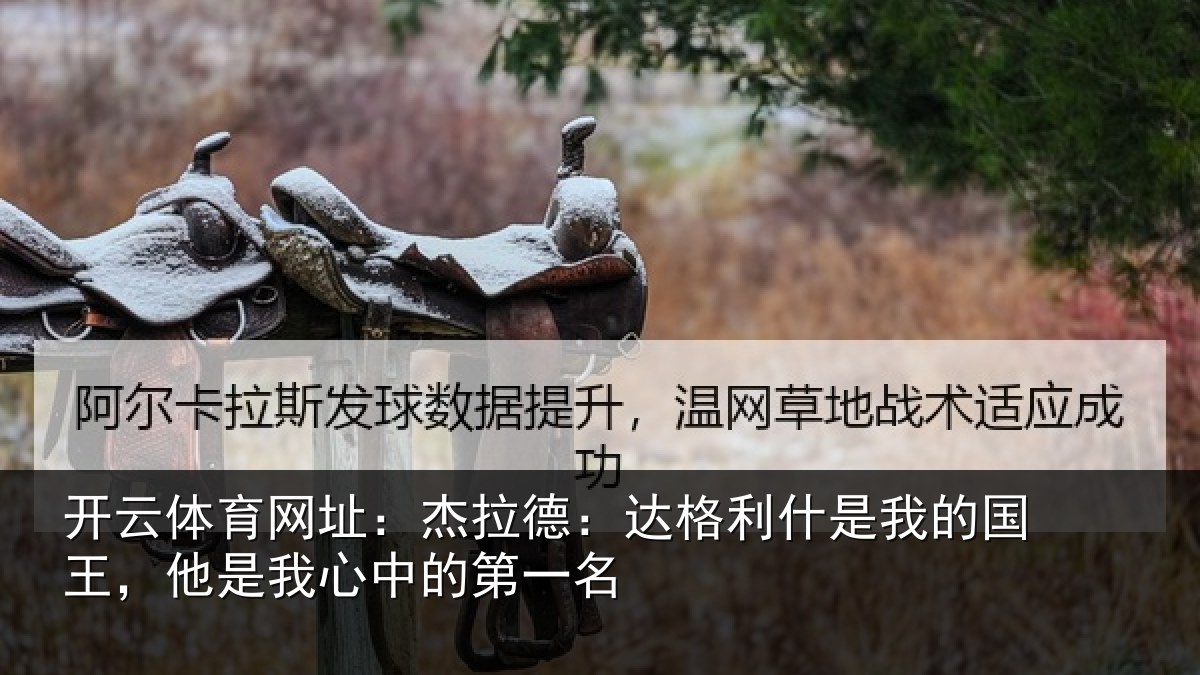 开云体育网址：杰拉德：达格利什是我的国王，他是我心中的第一名