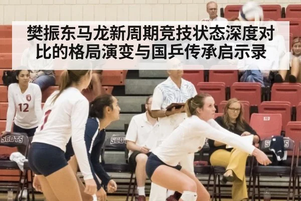 樊振东马龙新周期竞技状态深度对比的格局演变与国乒传承启示录
